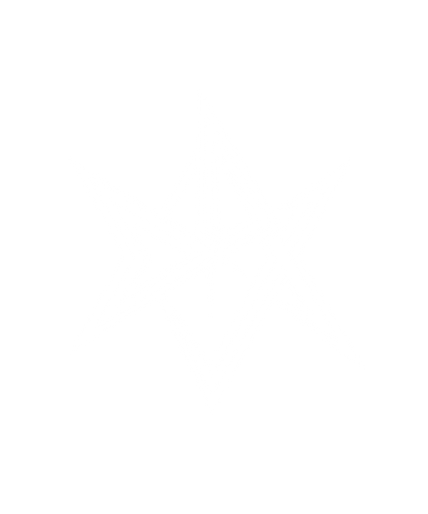 DIGITAL DESIGNX